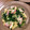 lisa_mimi's cooksnap of when they made 簡単彩りレシピ＊豆苗とかまぼこ炒め＊.