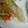 イスミ's cooksnap of when they made 鱈のムニエル☆フライパンで.