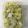 クックA8DACC☆'s cooksnap of when they made 柚子風味白菜のがごめ昆布漬け【作りおき】.