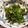 moriichi's cooksnap of when they made ピーマンと大葉の炒め煮.