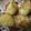 クックOYTSP1☆'s cooksnap of when they made 新じゃがの一口ポテトフライ.