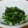 ☆ジグロ☆'s cooksnap of when they made ほうれん草のごま和え.
