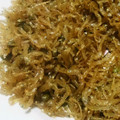 クックR3UY4B☆'s cooksnap of when they made 基本の和食42　ちりめん山椒.