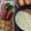 ☆かぐや姫☆'s cooksnap of when they made ☺子供も食べやすい簡単チーズフォンデュ☺.