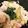 クックLZ7E8G☆'s cooksnap of when they made ガリバタチキンとキノコの炊き込みごはん.