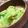 ランボ✴︎'s cooksnap of when they made キャベツのカレーマヨサラダ.