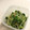 クック6F5381☆'s cooksnap of when they made 水菜を使って簡単お浸し.