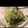 yumo88's cooksnap of when they made 超時短！苦味押さえたゴーヤツナマヨ和え.
