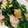 cotton777's cooksnap of when they made 鶏肉とほうれん草&エリンギ炒め.