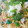 しょぼン's cooksnap of when they made ★麺つゆで簡単★しらすと大根の和風パスタ.