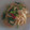 Hiroco3's cooksnap of when they made 【減塩】ネギとかつお節の焼きうどん.