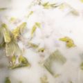 あやごんざれす's cooksnap of when they made 取り分け幼児食！白菜のミルクスープ.
