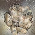 ぼーの28's cooksnap of when they made 叔母直伝☆牡蠣の洗い方.