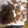 クックWJEJ5T☆'s cooksnap of when they made 絶品もっちふわ♡HMと豆腐の簡単ドーナツ.
