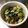 FmgM's cooksnap of when they made 我が家の定番♪ほうれん草の美味しい白和え.