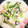 なっぴーこーぴー's cooksnap of when they made おうちで中華・青梗菜のミルク煮.