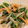 クック0XBBM0☆'s cooksnap of when they made レンジで簡単☆もやしと豆苗の和え物.