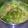 ごぼいぬ's cooksnap of when they made マテ茶鶏のオリーブオイル漬けでヘルシー鍋.