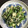 キタマニ's cooksnap of when they made 【減塩】ほうれん草の白和え.