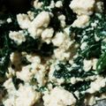ＹＵＴＡＲＯ's cooksnap of when they made かおる春菊の白和え.