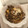 やまぼうしゆきこ's cooksnap of when they made 簡単！めんつゆで☆まいたけの卵とじ.