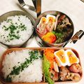 朔・栞's cooksnap of when they made 我が家のシャキシャキ酢れんこん♪.