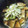 たぼかず's cooksnap of when they made 超簡単！さつま揚げの煮物.