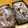 ともちん17's cooksnap of when they made 甘さ控えめ❋しっとりガトーショコラ.