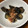 ✳︎ハル✳︎'s cooksnap of when they made もう一品に！簡単！時短！茄子の炒め煮.