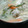 ちゅるま's cooksnap of when they made 我が家のおかずになるとん汁♪寒い日に♪.