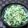 みがつくひと's cooksnap of when they made 大根と水菜のマヨポンサラダ.