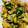 クックS85M5R☆'s cooksnap of when they made 白菜のオイスター炒め.