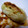 smegu's cooksnap of when they made さっぱり！焼きナスを生姜醤油で☆.