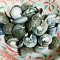 ねねしばこ's cooksnap of when they made つまみにピッタリな【ながらみ】の塩茹で.