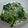 レモンパッソ's cooksnap of when they made 簡単！小松菜の胡麻和え.
