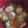 ミシガン娘。's cooksnap of when they made 肉団子とごぼうの和風卵とじ鍋.