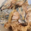 さばを's cooksnap of when they made 夕おもてなし♪生姜がピリッ！旬な牡蠣ご飯.
