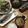 させめ＊'s cooksnap of when they made 失敗なし!! あさりの酒蒸し.
