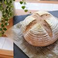 chiicafé's cooksnap of when they made HBで簡単パン生地♪カンパーニュ.