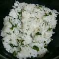 kc♡'s cooksnap of when they made しらすとわかめのまぜご飯.