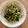 ハムタカ's cooksnap of when they made えのきとワカメの和え物.