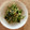 ハムタカ's cooksnap of when they made えのきとワカメの和え物.