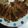 garnet126's cooksnap of when they made 簡単！初めての餃子.