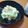 みやん555's cooksnap of when they made キャベツとウィンナーの牛乳カルボナーラ.