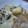 nocoっち's cooksnap of when they made 栗ごはん.