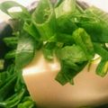 NAOばあさん's cooksnap of when they made ねぎ好きさんへ☆ねぎだく冷奴♪.