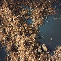 Maa0104's cooksnap of when they made 簡単★だしパックでソフトなふりかけ.