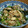 よっちゃんぽっちゃん's cooksnap of when they made ちんげん菜と小えびの挽き肉炒め.