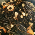 tidagon's cooksnap of when they made 簡単☆ひじきの煮物.
