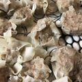＊Penelope＊'s cooksnap of when they made シューマイ♪.